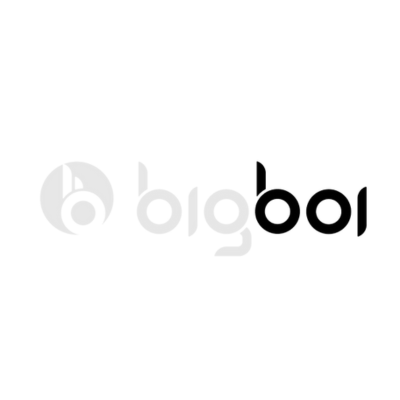 bigboi logo